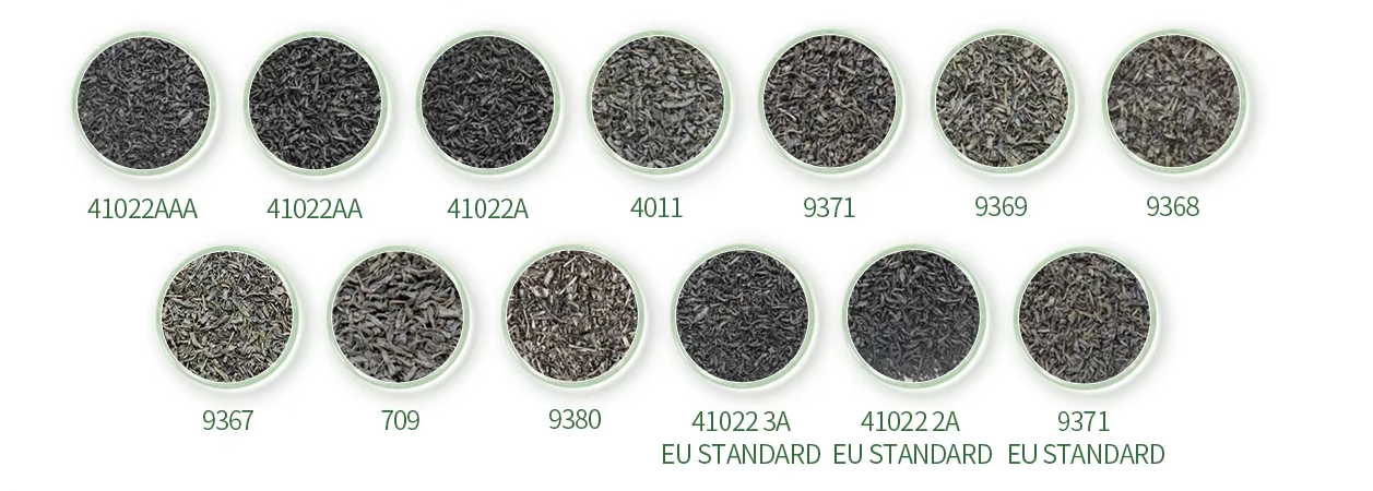 Ruixing tea chunmee tea different grades with normal standard and Eu standard