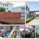 中国绿茶供应商：珠茶和眉茶 – 直接工厂OEM出口商，面向中东、非洲、欧洲